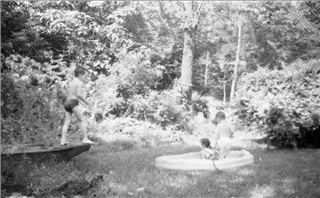 small_jerry barb bob 2017-365.webp